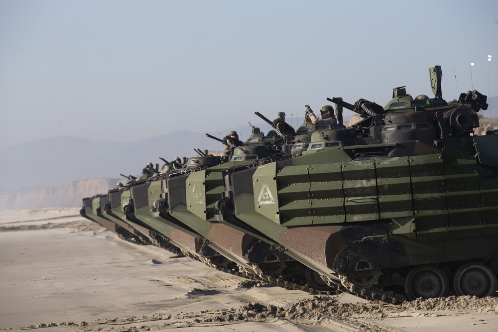 Iron Fist 2020: US Marines and JGSDF soldiers train with assault amphibious vehicles.