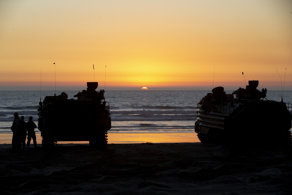 Iron Fist 2020: US Marines and JGSDF soldiers train with assault amphibious vehicles.