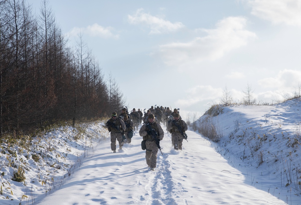 Every Clime and Place | U.S. Marines assigned to the Logistics Command Element train in austere environments during exercise Northern Viper 2020