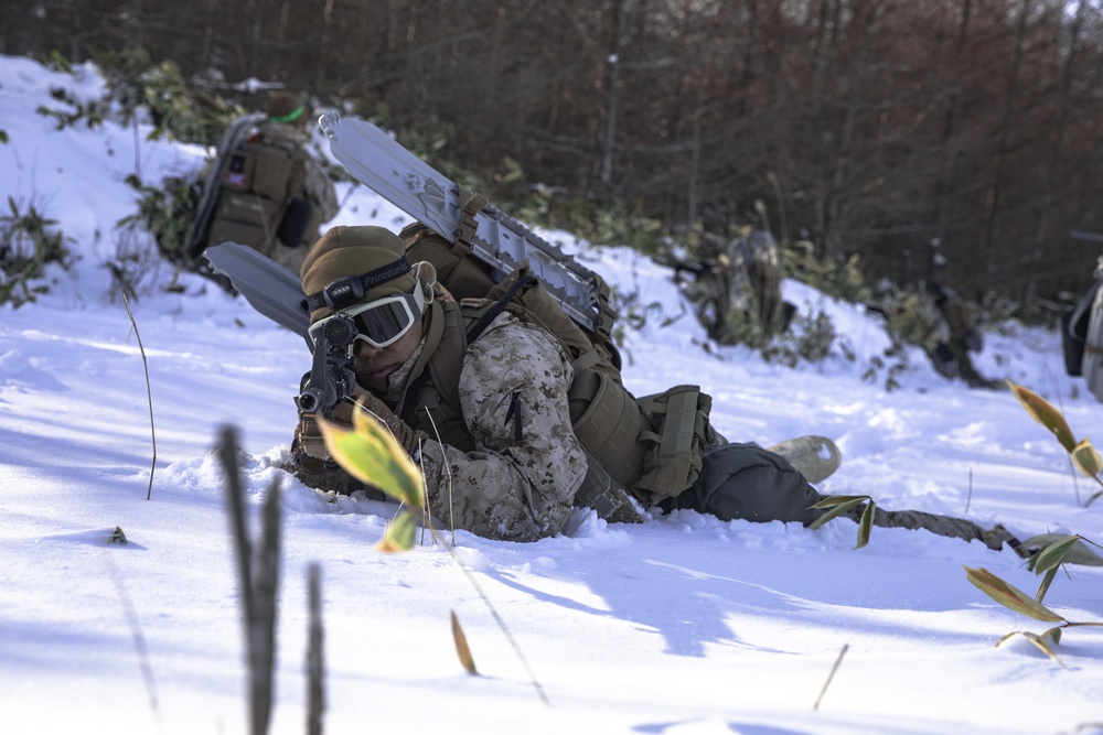 Every Clime and Place | U.S. Marines assigned to the Logistics Command Element train in austere environments during exercise Northern Viper 2020