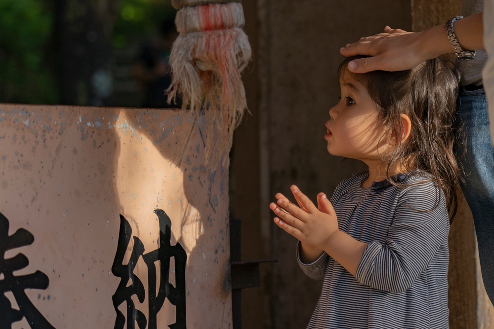 Nago Cherry Blossom Festival 2020