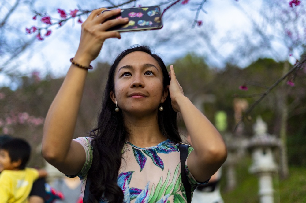 Nago Cherry Blossom Festival 2020