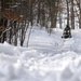 Special Tactics Airmen navigate snow at Emerald Warrior 20-1