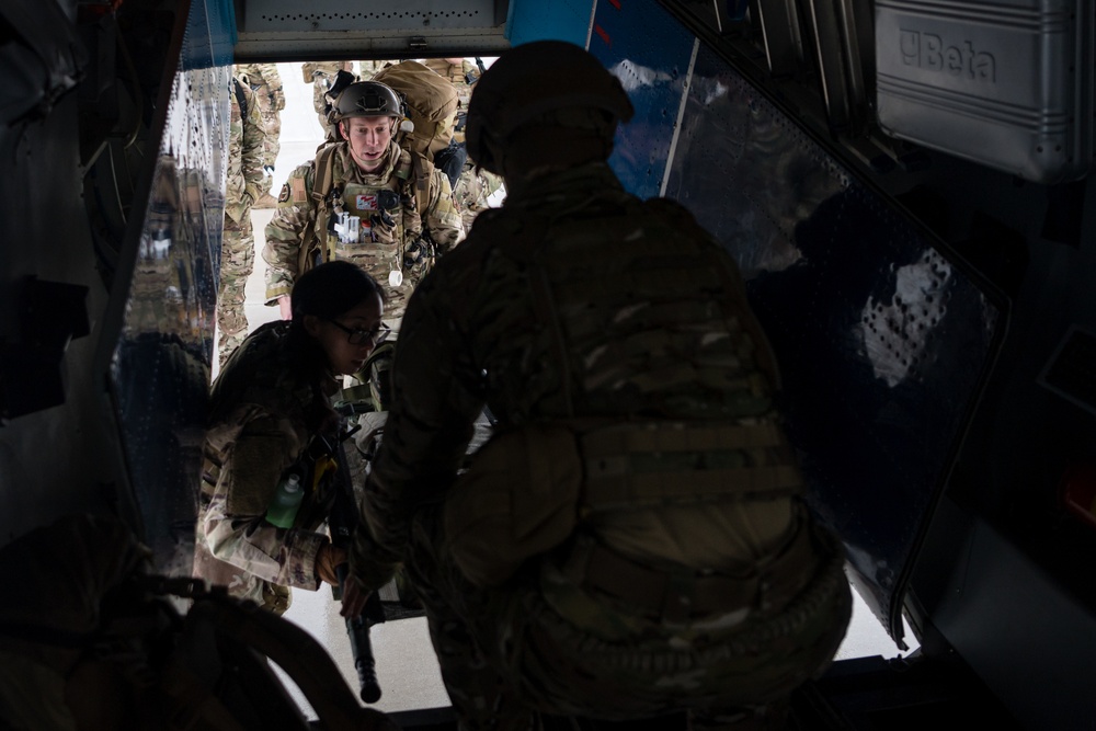 Emerald Warrior 20.1