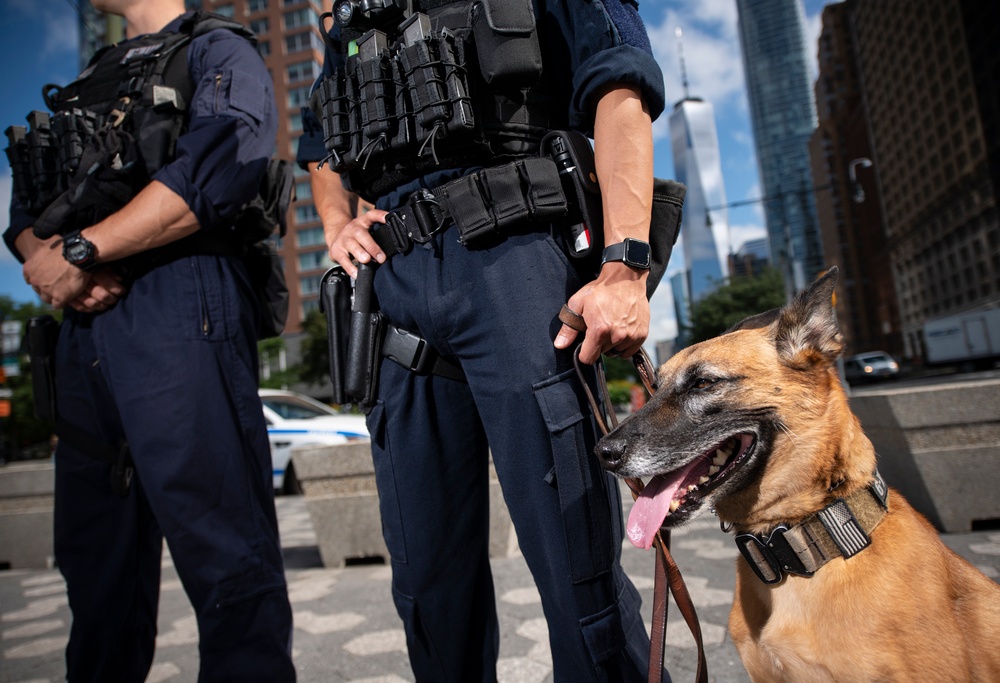 MSST New York members patrol NYC