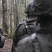 Alpha Company Crucible