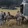 Charlie Company 2/3 Combat Aviation Brigade provides casualty evacuation during Combined Resolve XIII