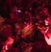 1st SOSS conducts a CASEVAC onboard French C-130 during EW 20-1