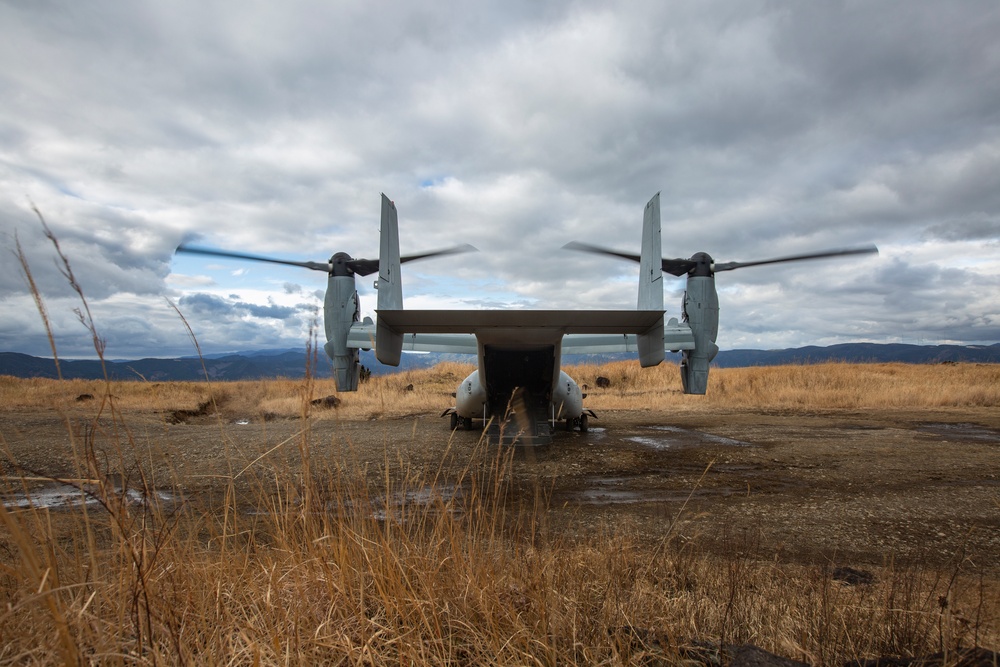 U.S. Marines, Japan Ground Self-Defense Force Conduct Vertical Assault training during Exercise Forest Light Western Army