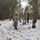 Fort McCoy Cold-Weather Operations Course students practice snowshoeing, ahkio sled use Fort McCoy Cold-Weather Operations Course students practice snowshoeing, ahkio sled use