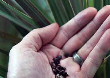 USDA: Veterans wanted to break ground in agriculture