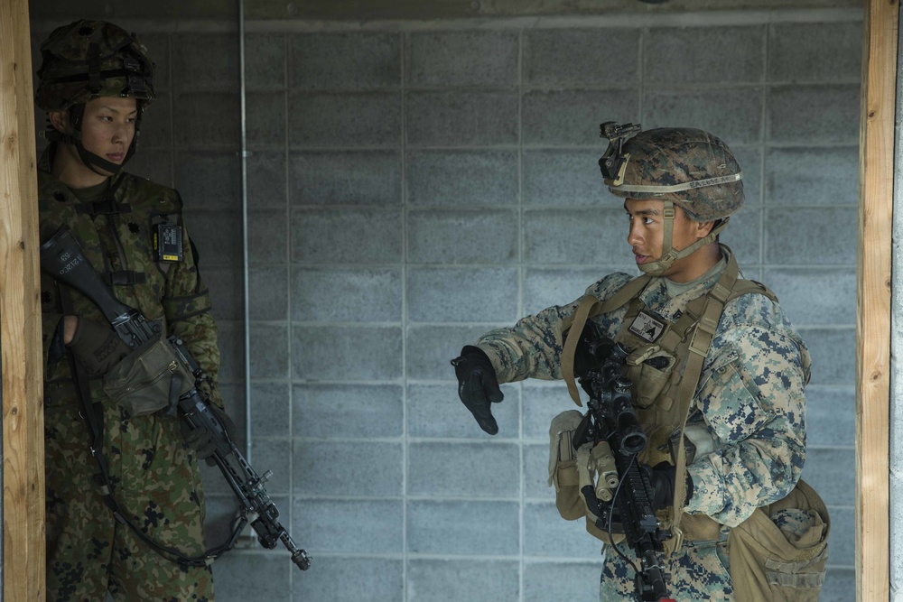 U.S. Marines, Japan Ground Self-Defense Force teach room clearing techniqes during Exercise Forest Light Western Army