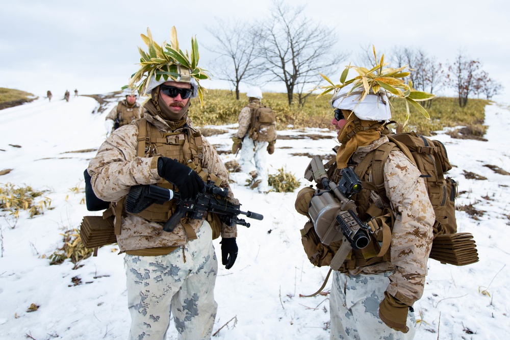 Marines Patrol Northern Viper