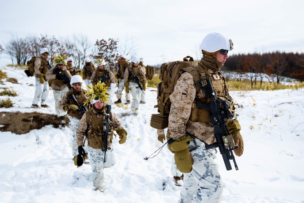 Marines Patrol Northern Viper