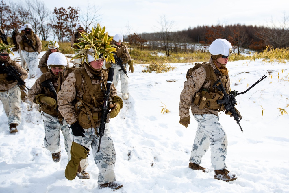 Marines Patrol Northern Viper