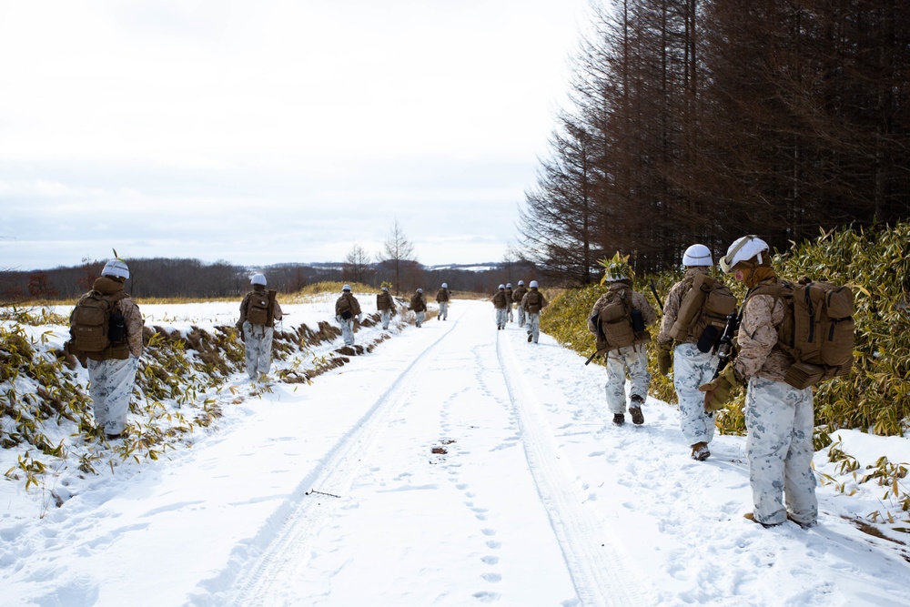 Marines Patrol Northern Viper