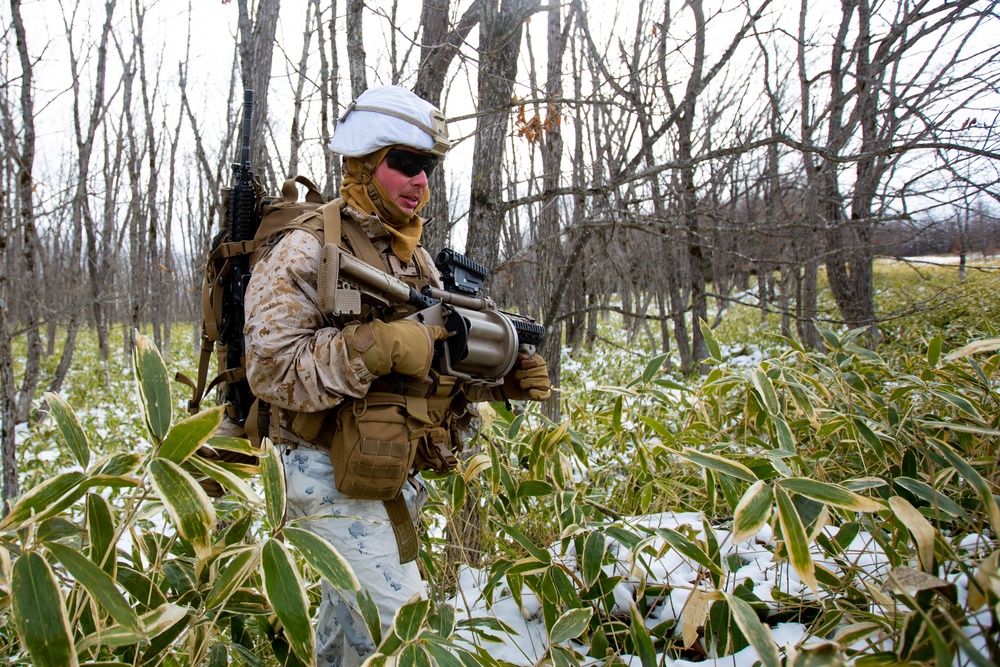 Marines Patrol Northern Viper