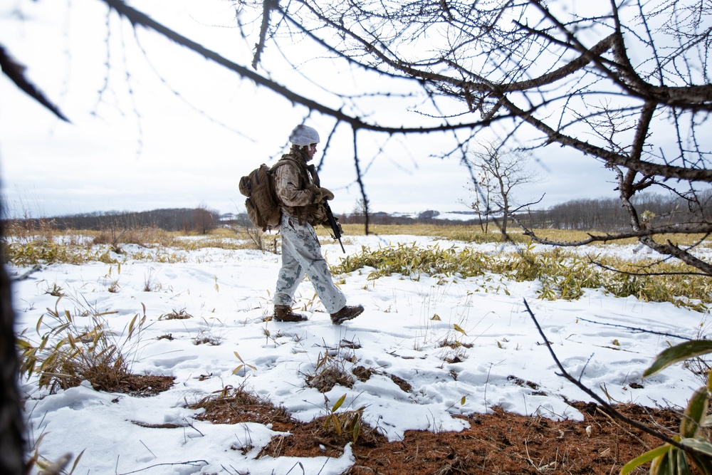 Marines Patrol Northern Viper