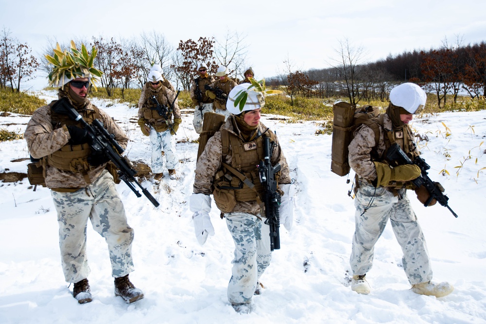 Marines Patrol Northern Viper