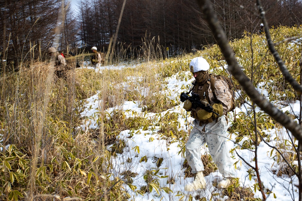 Marines Patrol Northern Viper