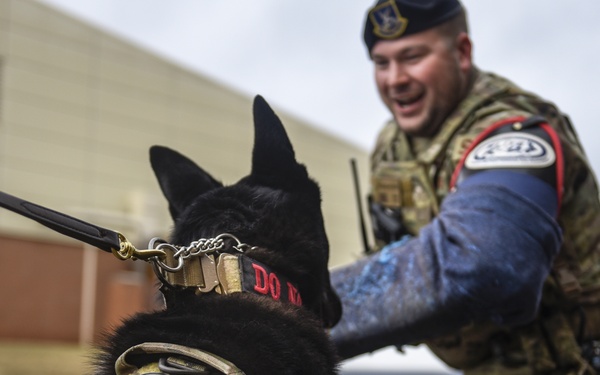 Military Working Dog - Bady