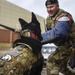 Military Working Dog - Bady