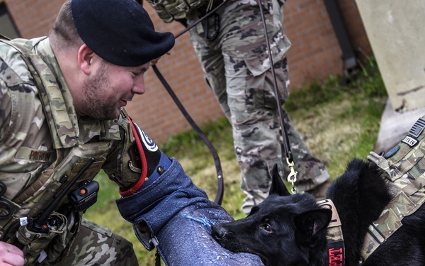 Military Working Dog - Bady