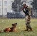 Military Working Dog Training in Germany