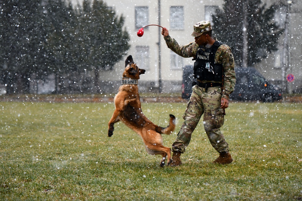 Military Working Dog Training in Germany