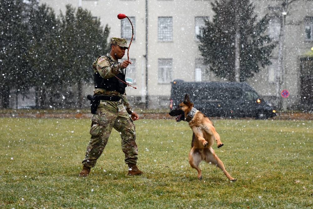 Military Working Dog Training in Germany