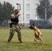 Military Working Dog Training in Germany