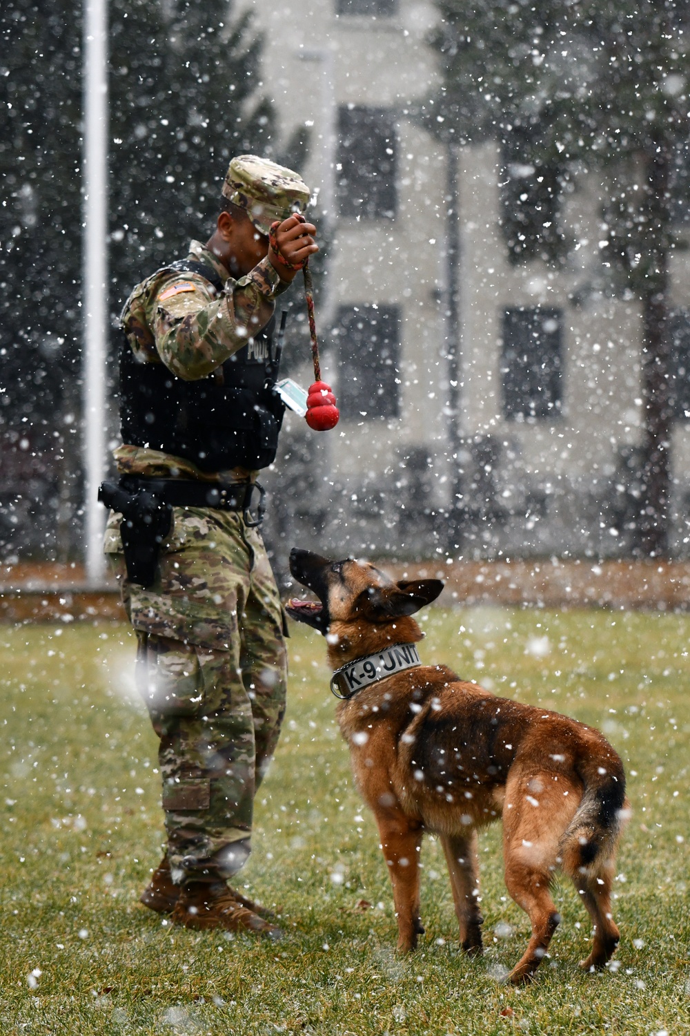 Military Working Dog Training in Germany