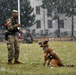 Military Working Dog Training in Germany