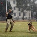 Military Working Dog Training in Germany