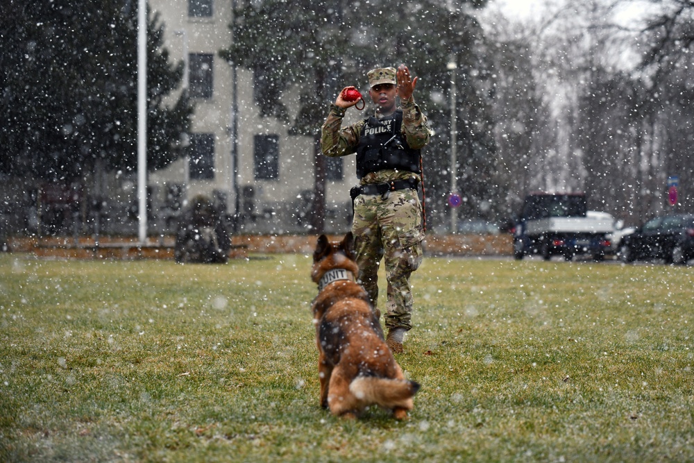 Military Working Dog Training in Germany