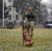 Military Working Dog Training in Germany