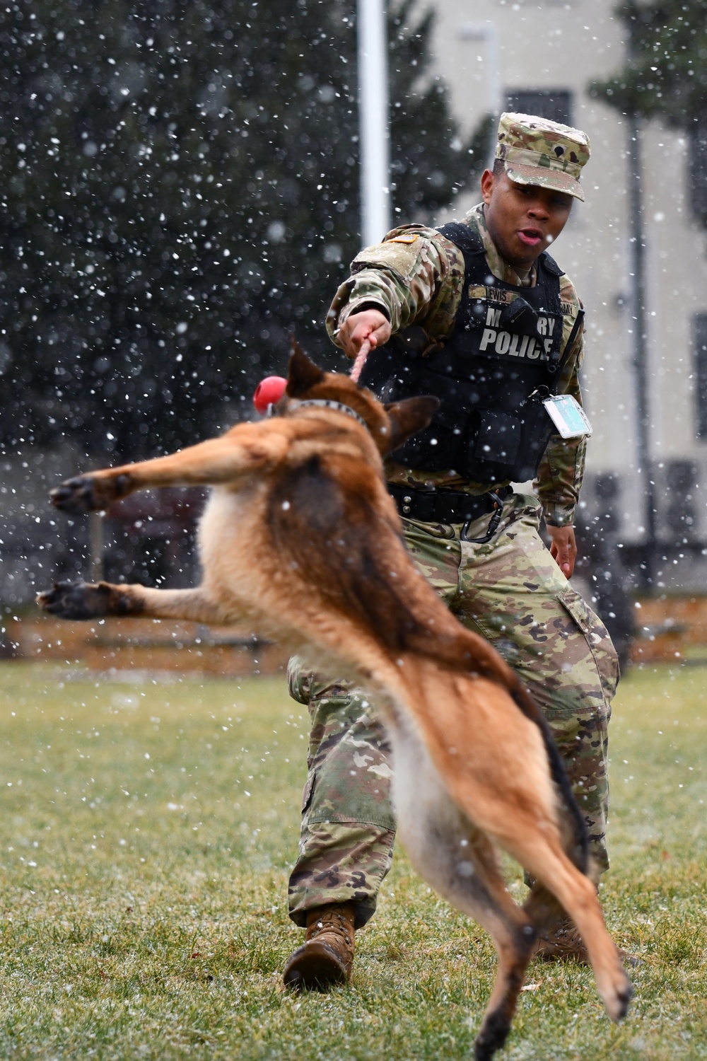 Military Working Dog Training in Germany