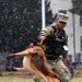 Military Working Dog Training in Germany