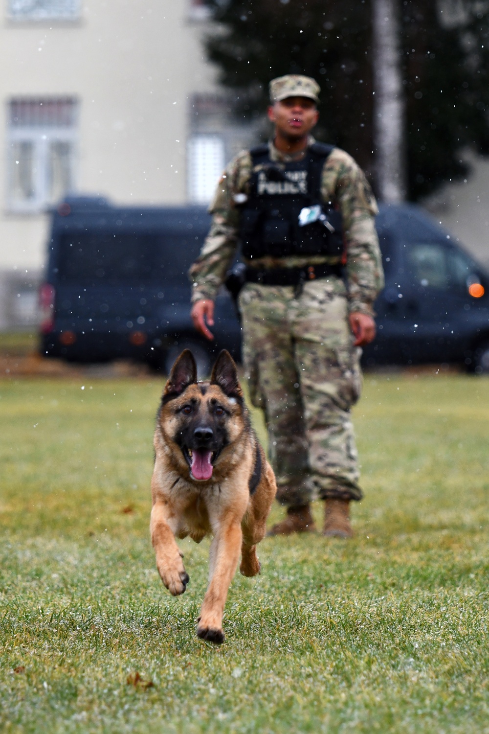 Military Working Dog Training in Germany