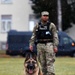 Military Working Dog Training in Germany