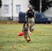 Military Working Dog Training in Germany