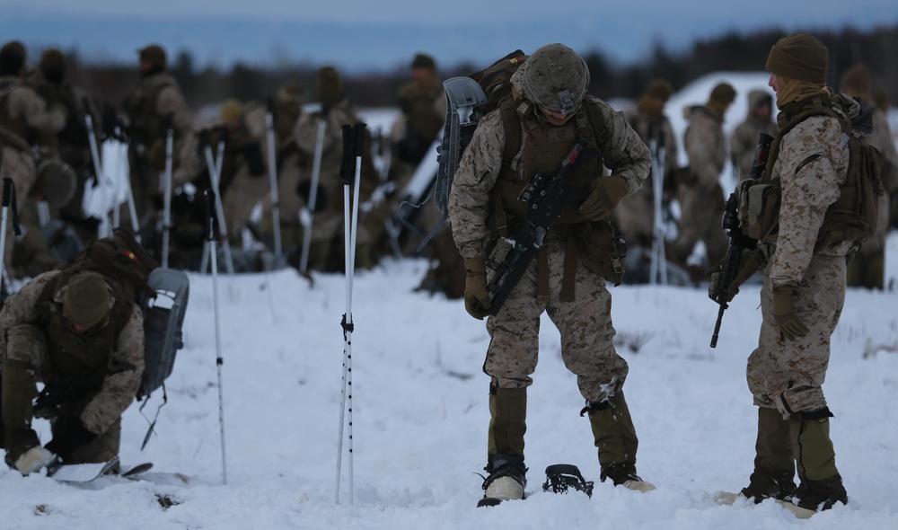 A Day at The Range for Northern Viper 2020