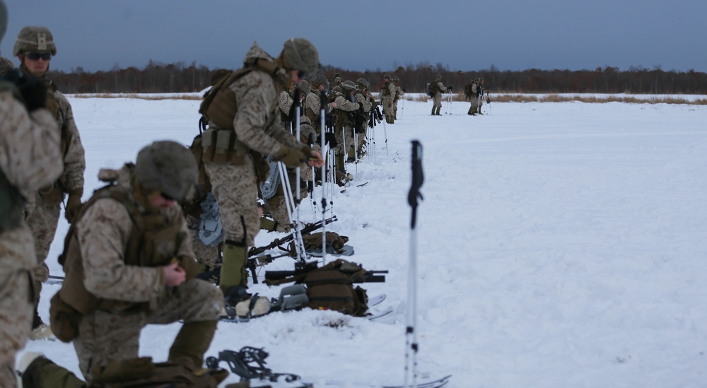 A Day at The Range for Northern Viper 2020