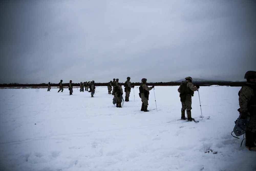 A Day at The Range for Northern Viper 2020