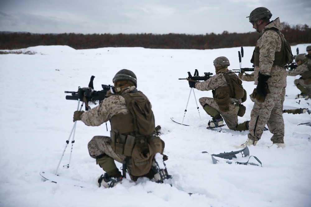 A Day at The Range for Northern Viper 2020