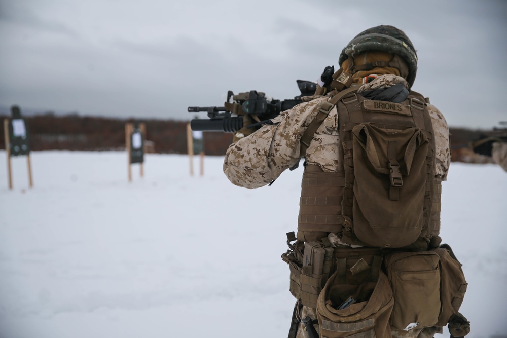 A Day at The Range for Northern Viper 2020