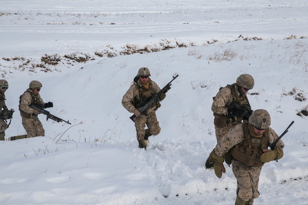 A Day at The Range for Northern Viper 2020