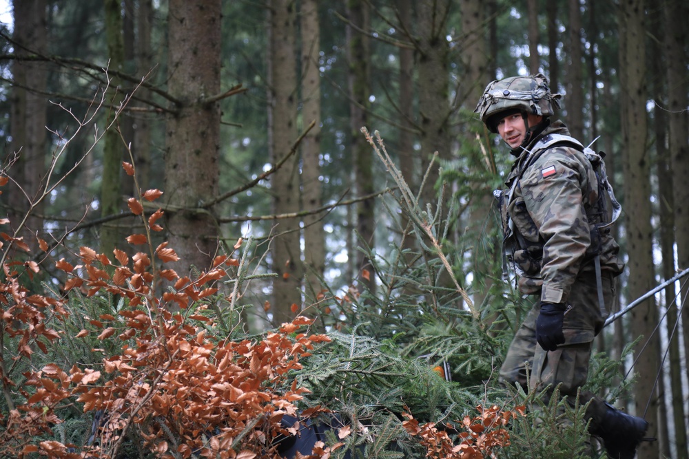 Polish Camouflage