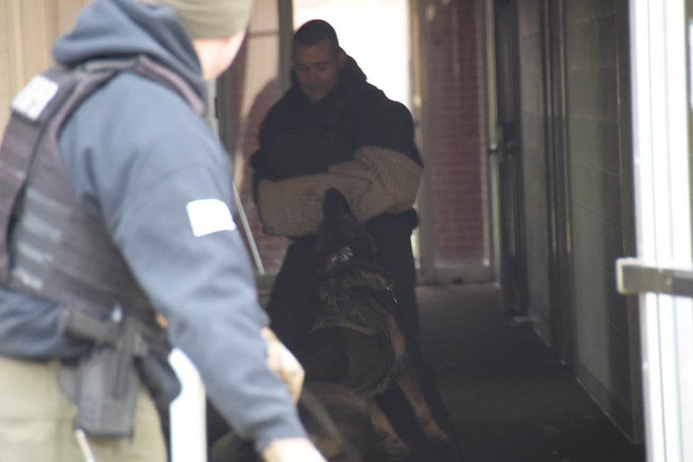 178th Security Forces hosts K-9 training
