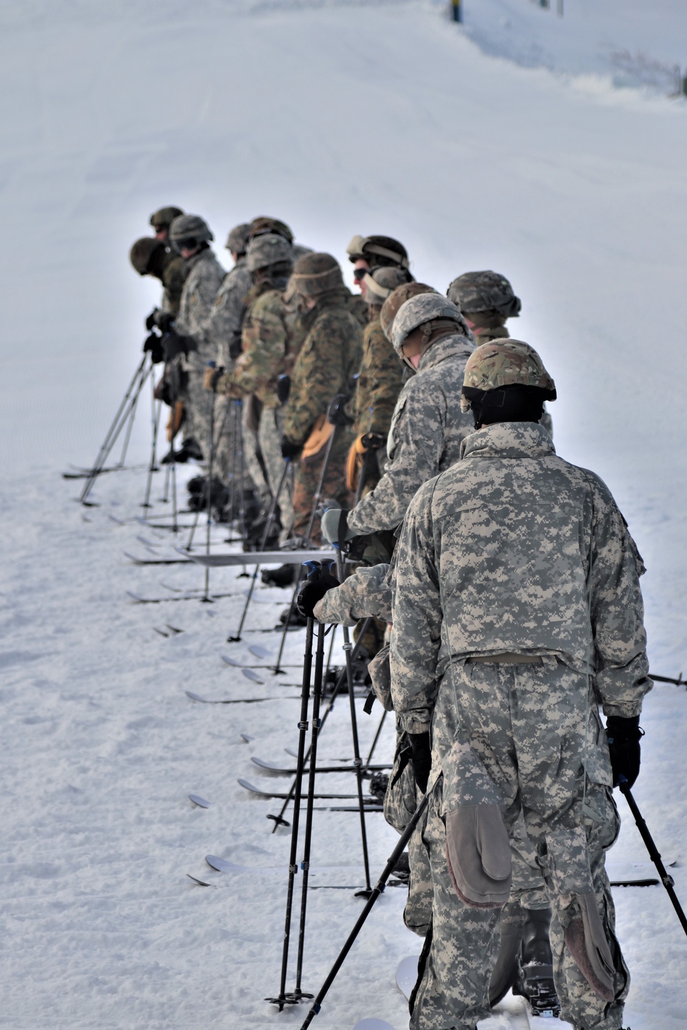 Cold-Weather Operations Course Class 20-02 students learn skiing techniques at Fort McCoy